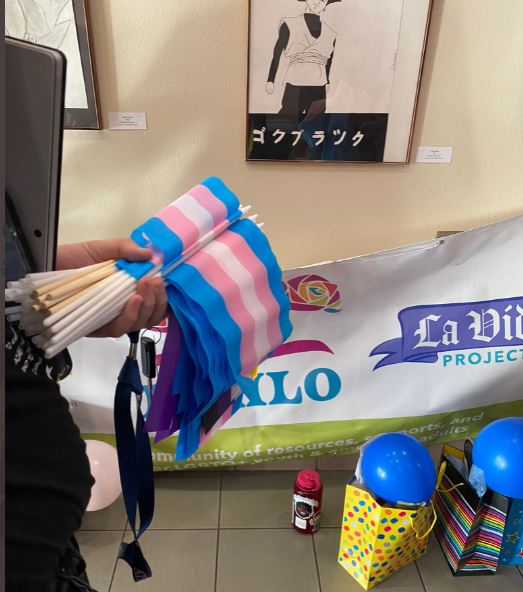 A handfull of Trans Pride flags distributed at LCPS board meeting in December 2021