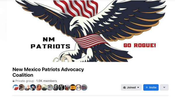 A screenshot of the Facebook Page "New Mexico Patriots Advocacy Coalition" which depicts a clipart Bald Eagle wrapped inn an American Flag with the text "NM Patriots" on the left and "Go Rogue!" on the right. 