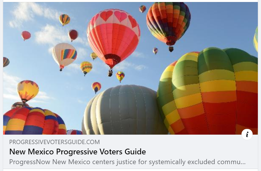 Social Media Screencap of Progressive Voter Guide