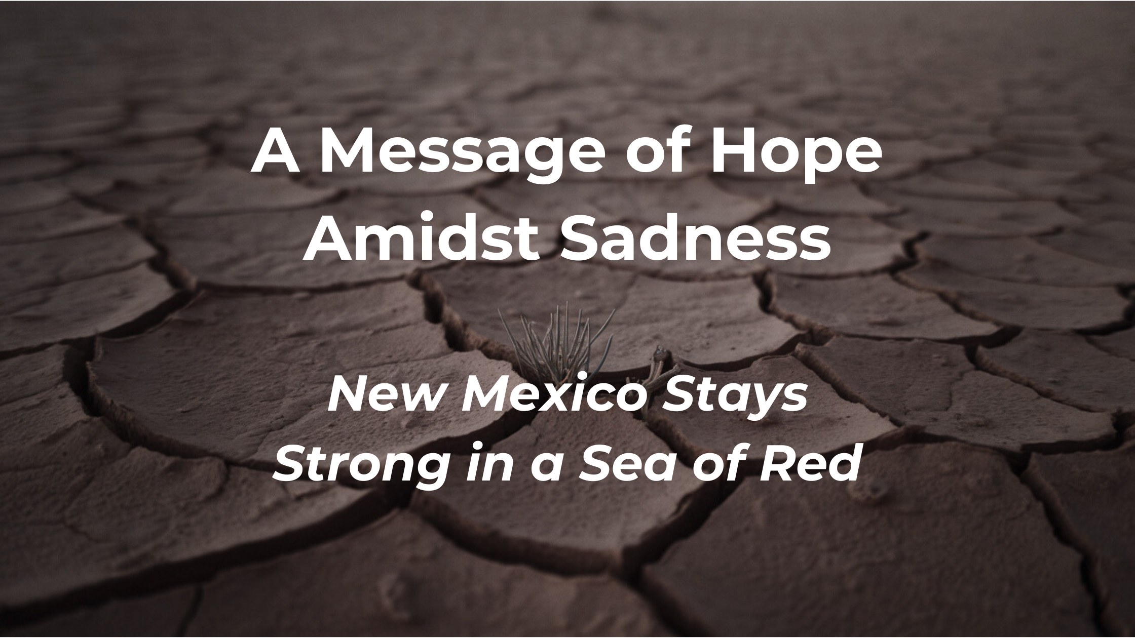 Hope in the Face of Adversity: New Mexico Leads the Way Towards a Progressive Future